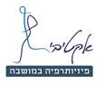 אקטיבי פיזיותרפיה במושבה